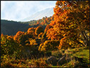 Automne - Coursegoules